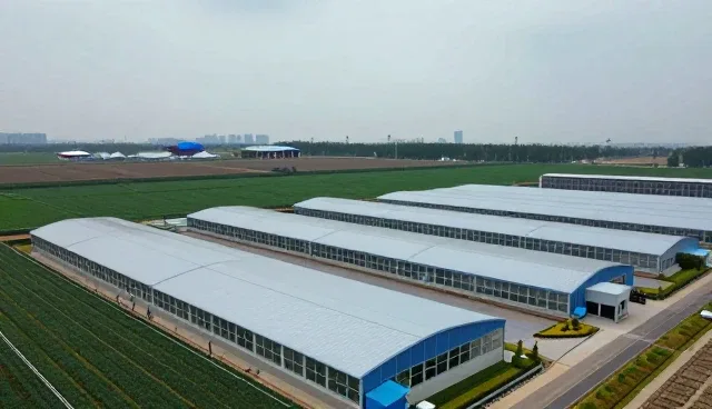 不同性能纸箱包装在实际应用中的适配性分析